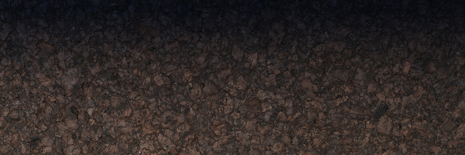 Kansas Business Owner's Policy Insurance Coverage