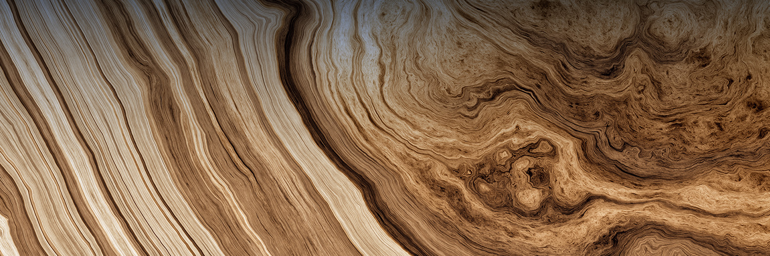 Kansas Business Solutions Banner Image