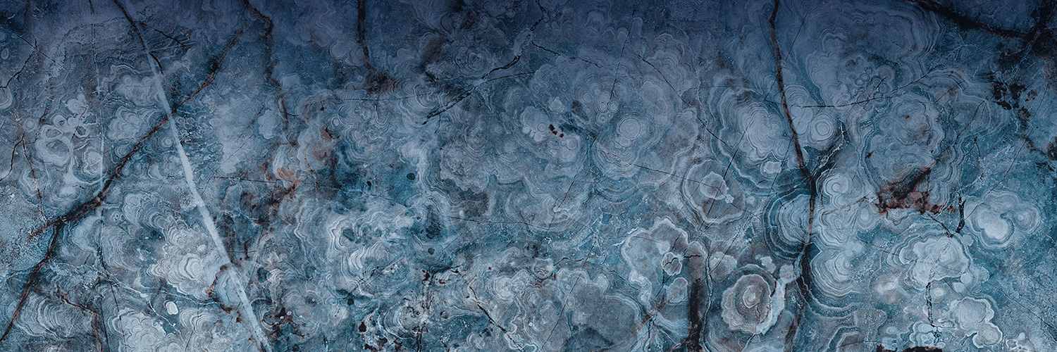 Featured Contact Your Carrier